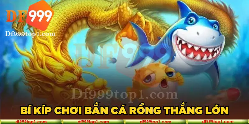 Bí kíp chơi bắn cá Rồng thắng lớn