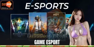 Cá cược trò chơi esport vô cùng đẳng cấp và hấp dẫn