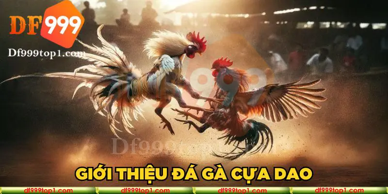 Giới thiệu đá gà cựa dao