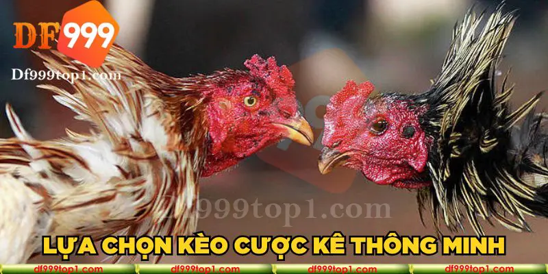 Lựa chọn kèo cược kê thông minh